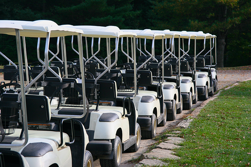 Golf carts lined up on a path