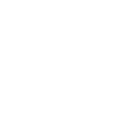 RVIA logo